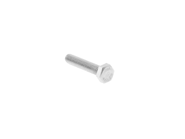 M6 x 30 V2A für Industrietor-Anschlag