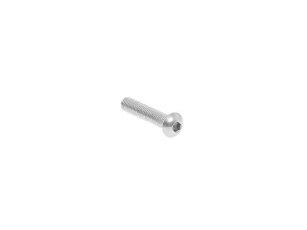 M8 x 40 Zaunbauschraube Edelstahl