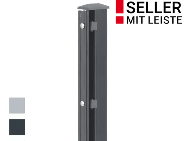 Zaunpfosten P2 mit Profilleiste